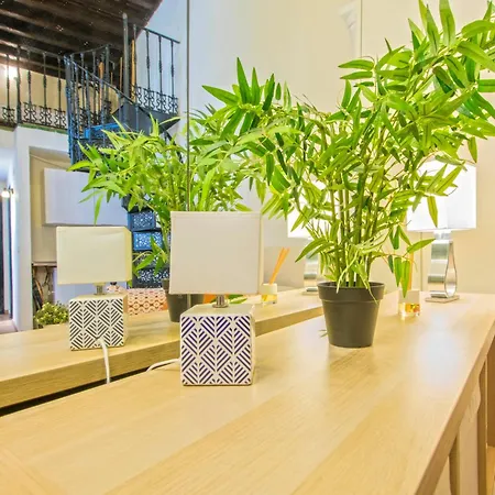 Precioso Duplex Estilo Sevillano En Pleno Centro Apartment *